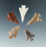 Set of five Columbia River arrowheads, largest is 15/16