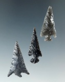 Set of three nicely flaked obsidian arrowheads found in Oregon, largest is 1 3/16