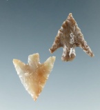 Pair of Columbia Plateau points found near the Columbia River, both around 11/16