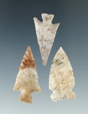 Set of three Columbia River arrowheads, largest is 1 1/4