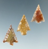 Set of three Columbia River arrowheads, all around 3/4