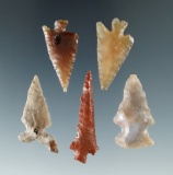 Set of five Columbia River arrowhead made from attractive material, largest is 1 3/8