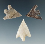 Set of three Columbia River Gem points, largest is 1 1/16