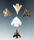 Set of five Columbia River arrowheads found near the Columbia River, largest is 11/16