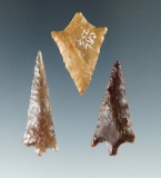 Set of three Columbia River arrowheads, largest is 1 3/8