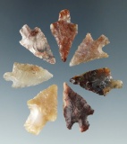 Set of seven assorted Columbia River Gem points, largest is 13/16