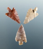 Set of three Columbia River arrowheads, largest is 3/4