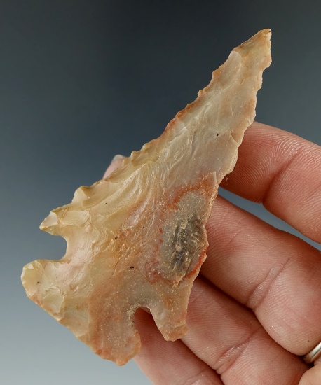 Color! Beautiful multi-colored Carter Cave Flint 2 15/16" Archaic Thebes Bevel found in s. Ohio.
