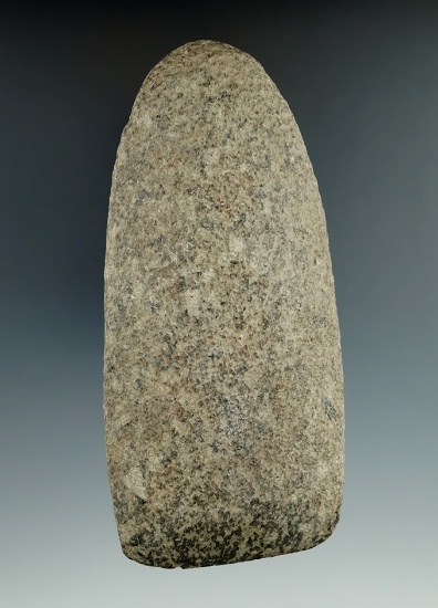 5 3/8" hardstone Celt found in Richland Co., Ohio. Ex. Dr. Jack Knapp, Len Weidner collections.