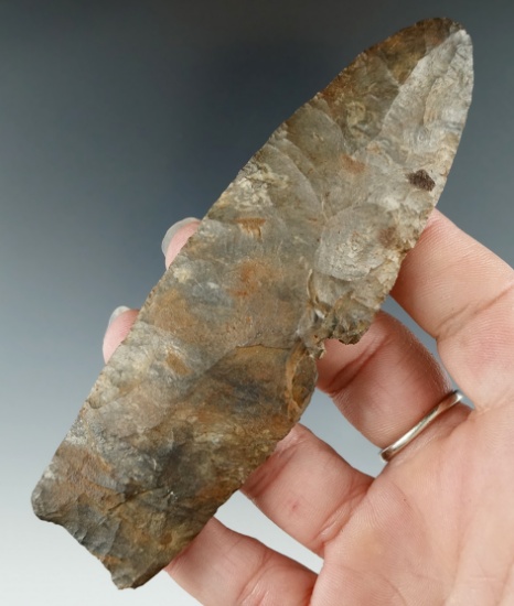 3 5/8" Paleo Lanceolate with a unique area on one side were a braciopod fossil fell out.