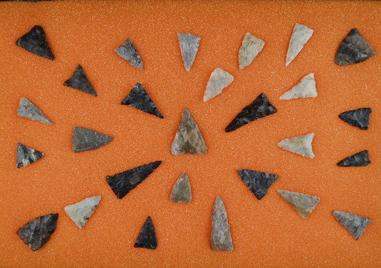 Group of 27 Triangles found by Leroy Deal in Coshocton Co., Ohio. Largest is 1 5/8".