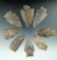 8 mostly Onondaga Flint pointed Knives found along the Genesee River,Allegheny Co., New York.