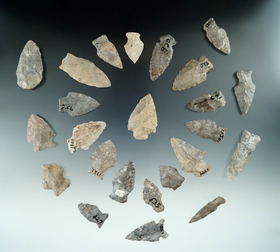 24" Assorted arrowheads, mostly Onondaga Flint, found  near Belfast, Allegheny Co., New York.