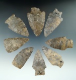 8 mostly Onondaga Flint pointed Knives found along the Genesee River,Allegheny Co., New York.