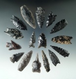 Set of 16 assorted flaked artifact from Oregon made from Obsidian, largest is 2 1/4