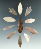 Set of 11 assorted African Neolithic arrowheads found in the northern Sahara desert region.