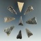 Set of nine Madison/Hamilton triangular arrowheads, largest is 1 5/16