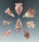 Set of eight Alibates Flint arrowheads found in the Colorado area, largest is 1 3/16