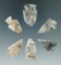 Set of six beautifully translucent agate arrowheads found in the Plains region. Largest is 15/16