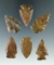 Set of six nice arrowheads found in the High Plains region, largest is 1 3/8