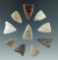 Set of 10 Triangular points found in the Plains region, largest is 7/8