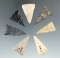 Seven nicely flaked Mississippian triangle points found in Ohio, largest is 1 3/8