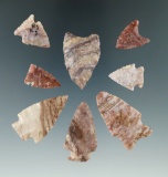 Set of eight Alibates Flint arrowheads from the Colorado area. Largest is 1 7/16