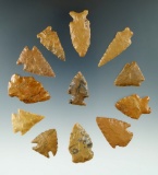 Set of 12 Colorado arrowheads made from attractive materials, largest is 1 1/2