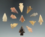 Group of 12 bird points found in the Southwestern U. S. Largest is 15/16