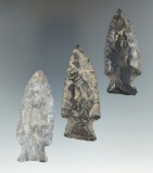 Set of three Coshocton Flint Archaic points found in Ohio and Indiana, largest is 2 5/8