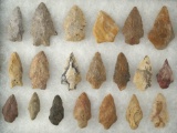 Group of 20 assorted Eastern U. S. Arrowheads. Largest is 1 13/16
