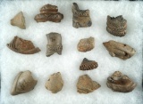 Set of 13 assorted clay Iroquois pipe pieces found at various sites in New York.