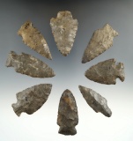 Group of Eight assorted points in nice condition found in Allegheny Co., New York.
