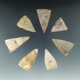 Set of seven Triangular points found in Texas, largest is 1 3/4