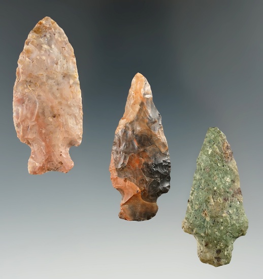 Three colorful Woodland points found in Ohio and New York. Largest is 2 3/8" .