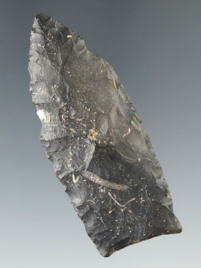 2 3/8" Coshocton Flint Paleo Lanceolate found in Knox Co., Ohio.