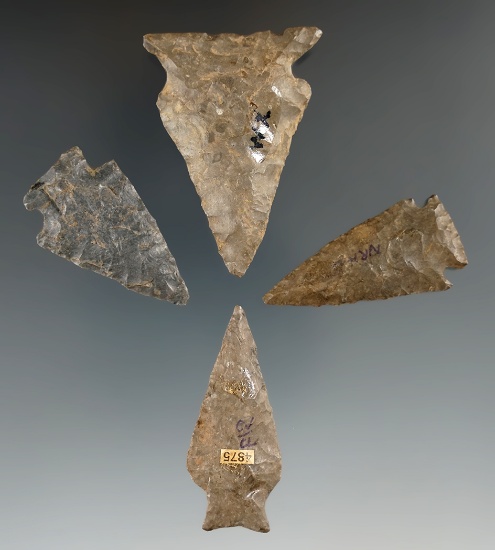Set of four nicely made arrowheads found in New York, largest is 2". Mickey Taylor "Iron Horse".