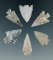Set of six High Plains region arrowheads, largest is 1 1/16