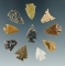 Set of 10 assorted High Plains arrowheads, largest is 7/8