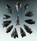 Group of 12 assorted Obsidian arrowheads found in the Great Basin Region. Largest is 1 5/8