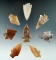 Group of eight attractive arrowheads found near the Columbia River by Norma Berg, largest is 1 5/8