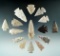 Group of 15 assorted arrowheads found in the Plains region, largest is 1 15/16