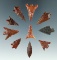 10 assorted Columbia River arrowheads, largest is 1 1/16