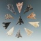 Group of 11 Columbia River arrowheads, largest is 1 5/16