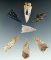 Set of seven assorted Columbia River arrowheads, largest is 2 1/8