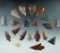 Group of 20 assorted arrowheads found near the Columbia River by Norma Berg. Largest is 1 5/8