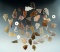 Large group of 43 High Plains arrowheads and three shell beads, largest is 1 3/8
