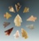 Group of 11 assorted arrowheads made from attractive materials found near the Columbia River.