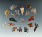 Group of 18 attractive Columbia River arrowheads found in Washington, largest is 1 1/4
