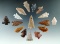 Group of 16 assorted arrowheads found near the Columbia River. Largest is 1 1/2